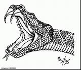 Realistic Snake Drawing At GetDrawings  Free Download sketch template