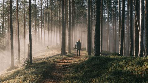 Forest Walking (Hiking for Beginners) | Visit Finnish Lapland