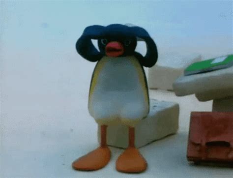 Pingu Penguin GIF - Pingu Penguin Mad - Descubre y comparte GIF