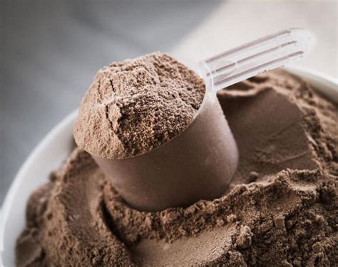 The Best Chocolate Protein Powder For You - Nogii