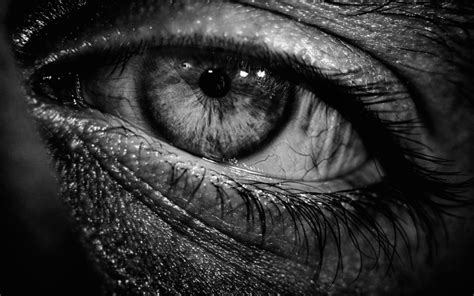 Eye Pupil Black and White | WallpapersWebs | Old soul, Black and white wallpaper, Black and white