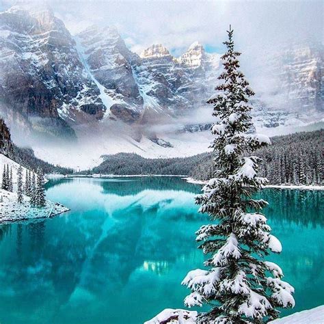 Andrei on Twitter: "Canada,… " | Winter scenery, Beautiful landscapes ...