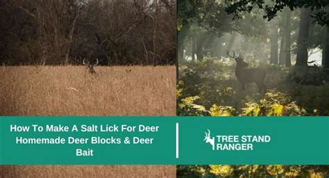 How To make Salt Lick for Deer 2024 - Deer Mineral Block