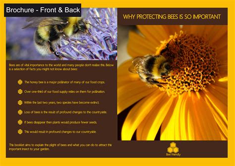 Bee Friendly- Bee Conservation Campaign :: Behance