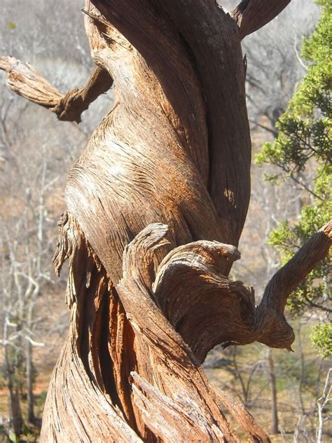 Sedona Vortexes: Powerful and Transformational Energy CentersSedona Vortex Retreats