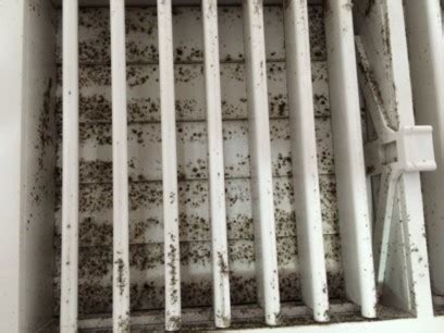 Can Air Conditioner Cause Mold | Smart AC Solutions