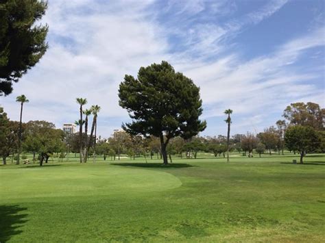 Newport Beach Country Club Golf Course | Just a big tree. | trebory6 | Flickr