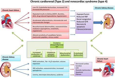 Cardiorenal Syndrome - Cardiology Clinics