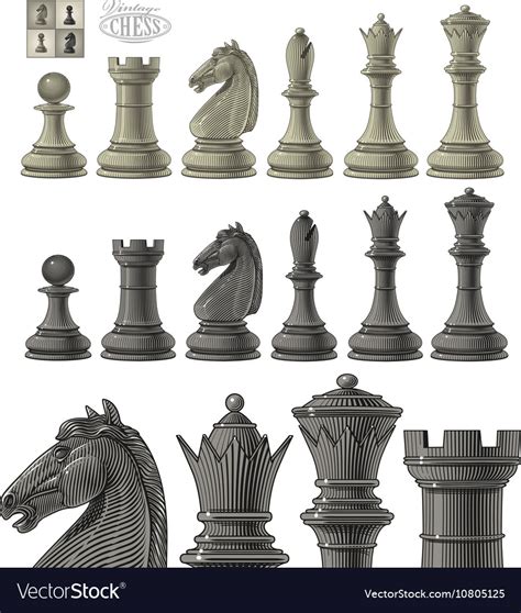 Chess piece set Royalty Free Vector Image - VectorStock