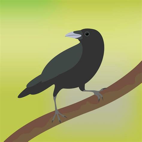 Crow Flat vector illustration 28798181 Vector Art at Vecteezy