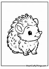 Hedgehog Coloring Pages For Kids At Viibaileeblog Blog sketch template