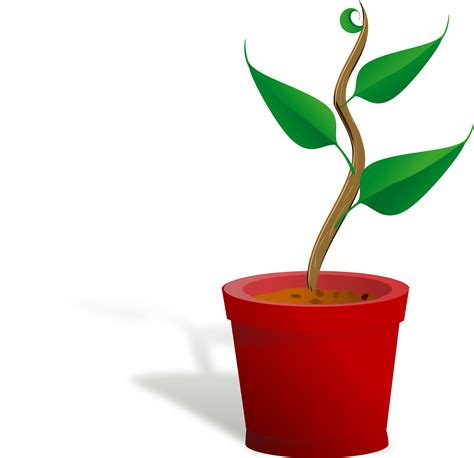 Clipart - plant growing - ClipArt Best - ClipArt Best