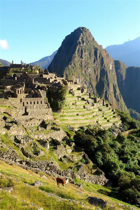 Huayna Picchu mountain towers majestically above the ruins of Machu ...