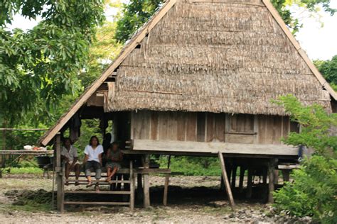 Rumah Adat Maluku: Nama, Sejarah, Jenis, Keunikan, Gambar – Gramedia Literasi