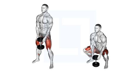 Dumbbell Sumo Squat - Guide, Benefits, and Form