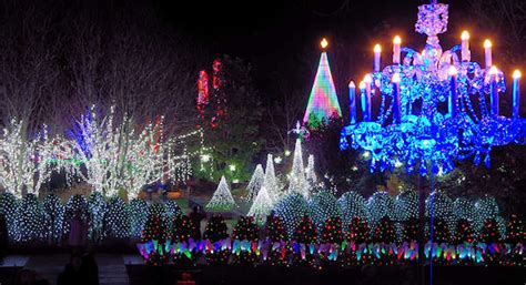 Winter Lights at NC Arboretum