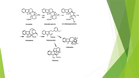 Vinca alkaloids