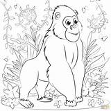 Gorilla coloring Page  Free Printable Coloring Pages sketch template