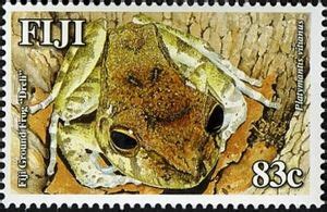 Stamp: Fiji Ground Frog (Platymantis vitianus) (Fiji(Land Frogs of Fiji - Fiji ground frog ...