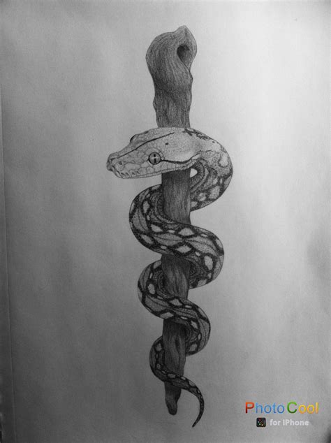 Rod of Asclepius by LauraStephenson1979 on DeviantArt