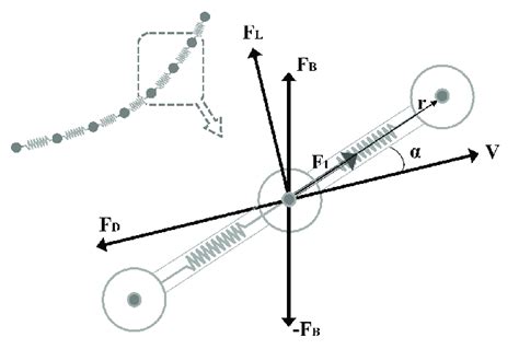 Details of the mass-spring model and factors acting on one mass-spring.... | Download Scientific ...