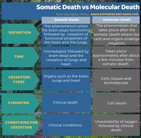 Difference Between Somatic Death and Molecular Death | Compare the ...