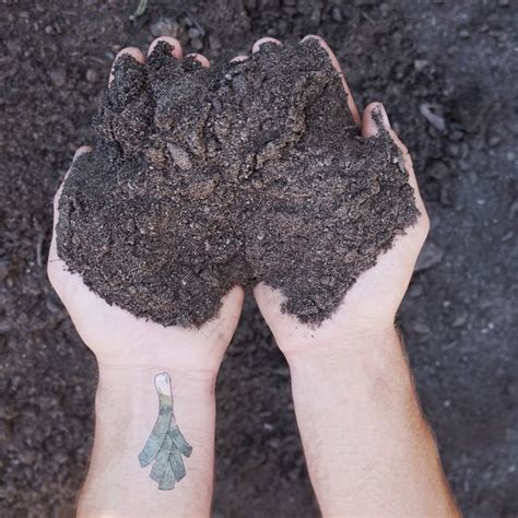 COMPOST – Dirt Exchange