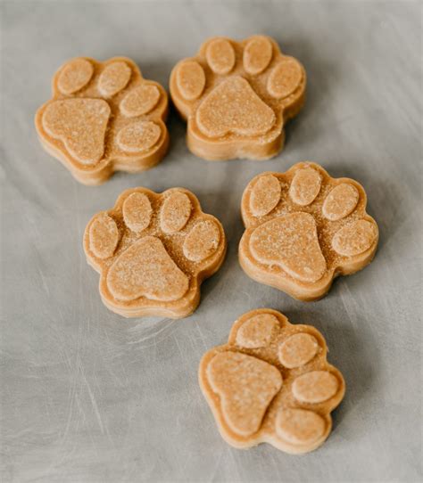 Healthy Homemade Peanut Butter Coconut Oil Dog Treats - House Fur