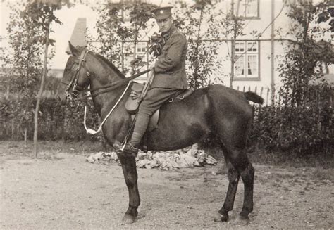 Horse census - The National Archives The National Archives