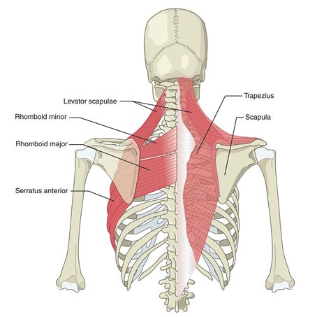 Neck/Headache Stories