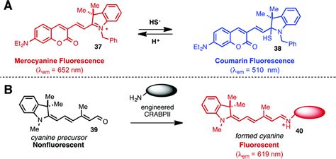 Cyanine polyene reactivity: scope and biomedical applications - Organic & Biomolecular Chemistry ...