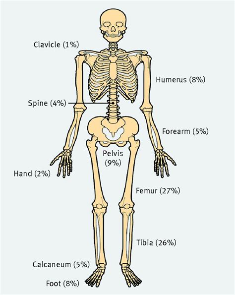 Acute haematogenous osteomyelitis in children | The BMJ