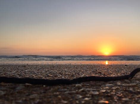 Free stock photo of beach, black-and-white, ocean