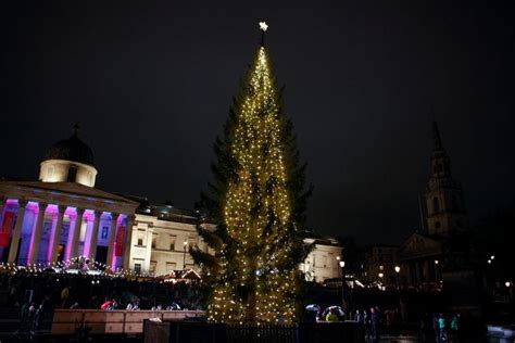 Trafalgar Square Christmas tree lights turned on for festive season