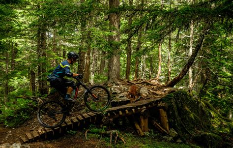 The Best Mountain Bike Trails in Whistler | Whistler Reservations