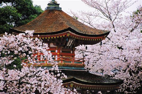 Kyoto | Japan, Map, History, Geography, & Points of Interest | Britannica