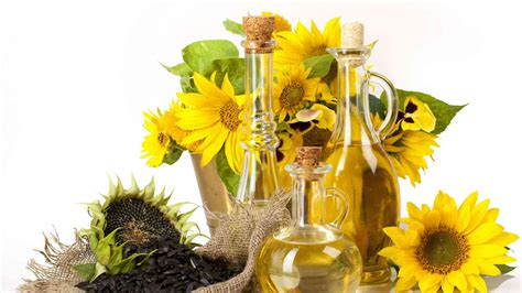 13 Facts About Sunflower Oil - Facts.net