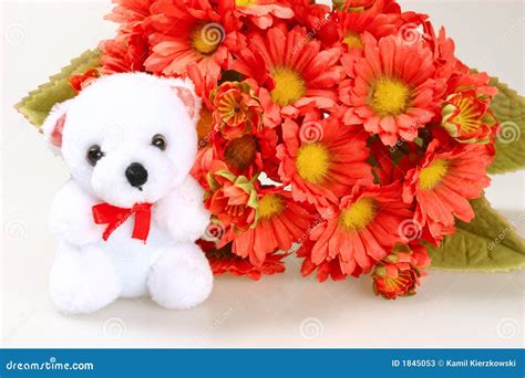 Teddy bear with flowers stock image. Image of present - 1845053