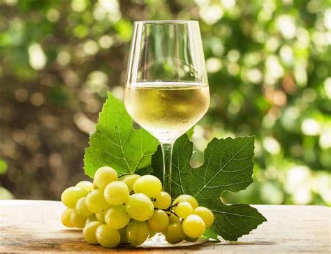 Riesling Wine Taste & Grape Variety Information • Winetraveler