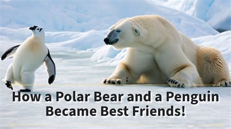 A Polar Bear and a Penguin Prove That Friendship Has No Boundaries ...