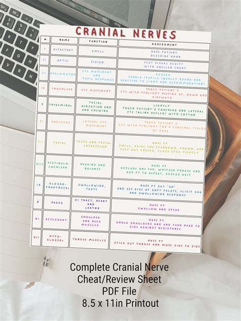 Cranial Nerve Cheat Sheet Description Nursing Guides, Nurse Practitioner, Physician Assistant ...