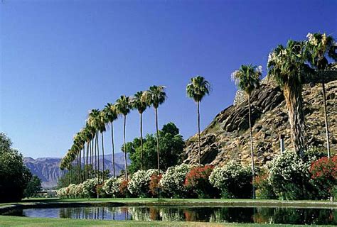 Desert Hot Springs' rustic spas, Palm Springs' hip hot spots