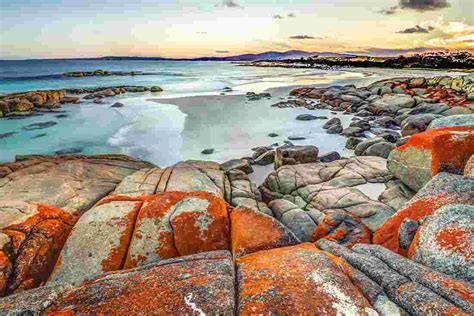 Walk Tasmania's Bay of Fires | Intrepid Travel