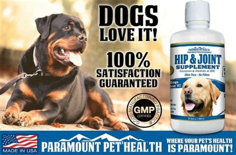 Paramount Pet Health Liquid Glucosamine For Large Dogs