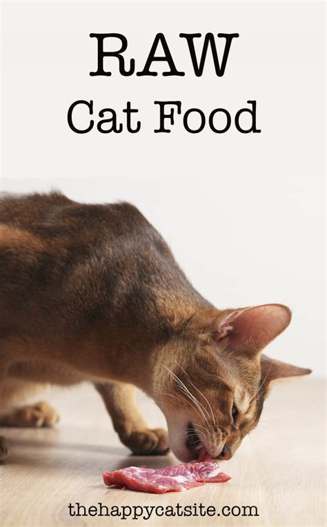 Raw Cat Food - How To Safely Feed Your Kitty A Raw Diet