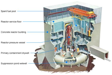 Fukushima Disaster | SF197 Sustainability and Energy