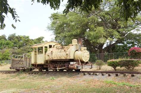 Hawaii's Plantation Village - Oahu | Only In Hawaii