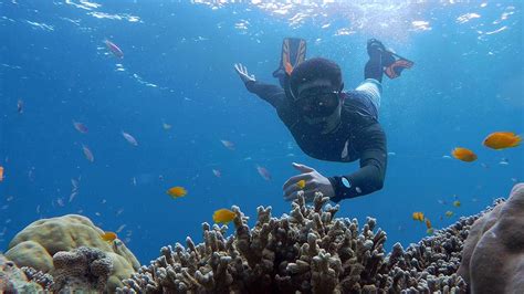 Phuket Snorkeling Tours by LongTail - A Private Tour by Easy Day Thailand