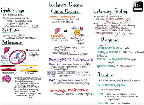 Wilson’s Disease – The Clinical Problem Solvers