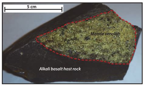 An example of a xenolith collected from East Otago. | Download Scientific Diagram